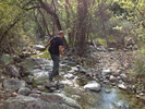 photo thumbnail #6