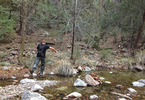 photo thumbnail #8