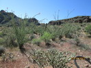 photo thumbnail #7