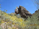 photo thumbnail #13