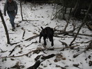 photo thumbnail #3