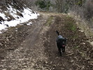 photo thumbnail #4
