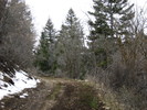 photo thumbnail #5