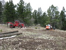 photo thumbnail #6