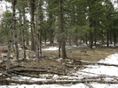 photo thumbnail #9