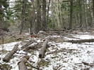 photo thumbnail #11