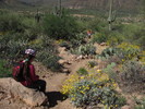 photo thumbnail #4