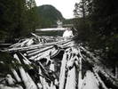 photo thumbnail #13