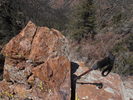 photo thumbnail #7