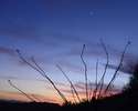 photo thumbnail #10