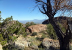 photo thumbnail #4