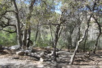 photo thumbnail #6