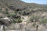 photo thumbnail #8