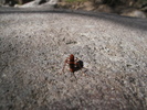 photo thumbnail #2