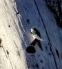 photo thumbnail #8