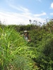 photo thumbnail #9