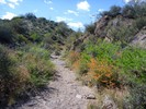 photo thumbnail #7