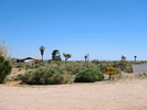 photo thumbnail #12