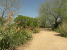 photo thumbnail #5