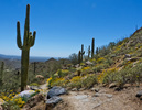 photo thumbnail #15