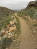 photo thumbnail #14
