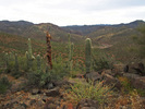 photo thumbnail #1
