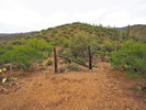 photo thumbnail #2