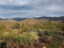 photo thumbnail #13