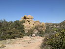 photo thumbnail #6