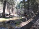 photo thumbnail #2