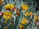 photo thumbnail #8