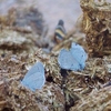 photo thumbnail #13