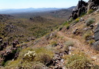 photo thumbnail #10