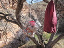photo thumbnail #8