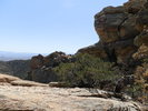 photo thumbnail #14