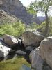 photo thumbnail #13