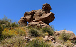 photo thumbnail #6