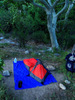 photo thumbnail #13