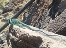photo thumbnail #2