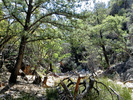 photo thumbnail #6