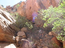 photo thumbnail #7