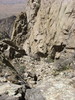 photo thumbnail #11