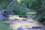 photo thumbnail #4