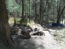 photo thumbnail #6