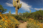 photo thumbnail #14