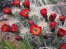 photo thumbnail #2