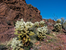 photo thumbnail #8