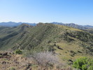 photo thumbnail #6