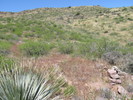 photo thumbnail #12
