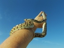 photo thumbnail #2